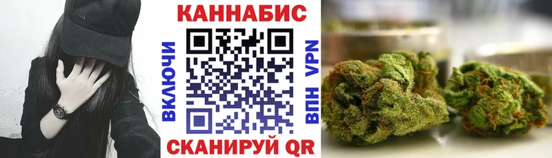 наркотики  ссылка на мегу рабочий сайт  Бошки марихуана планчик  Новосокольники 